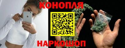 PSILOCYBIN Краснодар