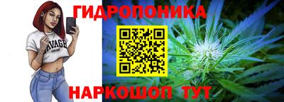 гидра Краснокаменск